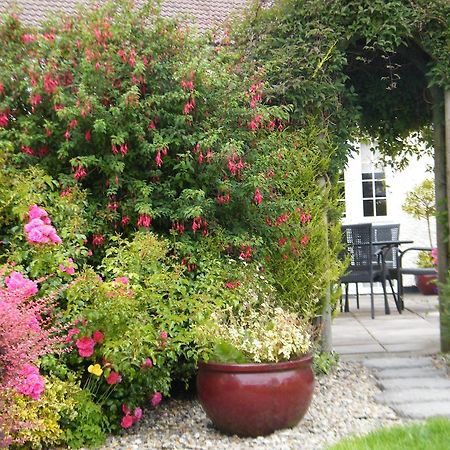 Almanii Bed & Breakfast Dublin Ngoại thất bức ảnh